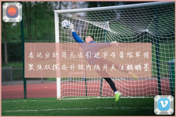 名记分析若无法引进字母哥绿军将聚焦双探花升级内线并关注鹈鹕墨菲